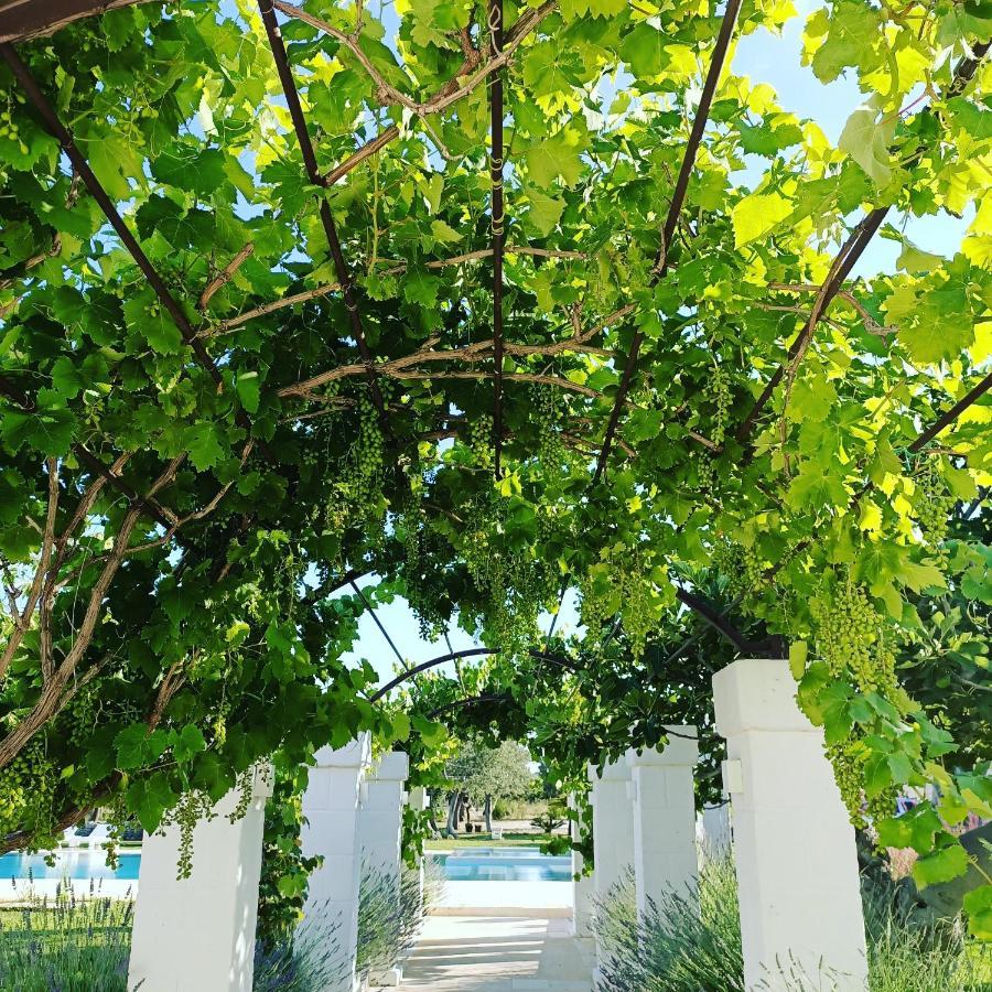 Masseria Almadava Polignano a Mare Exteriör bild